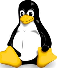 Tux, the symbol of Linux