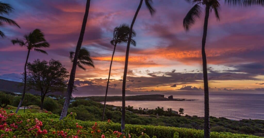 Lanai island in Hawaii