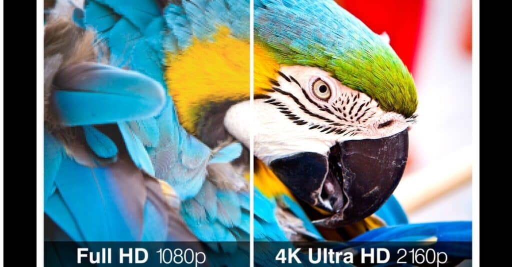 SD vs HD