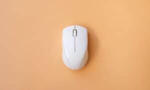 Modern-day wireless computer mouse.