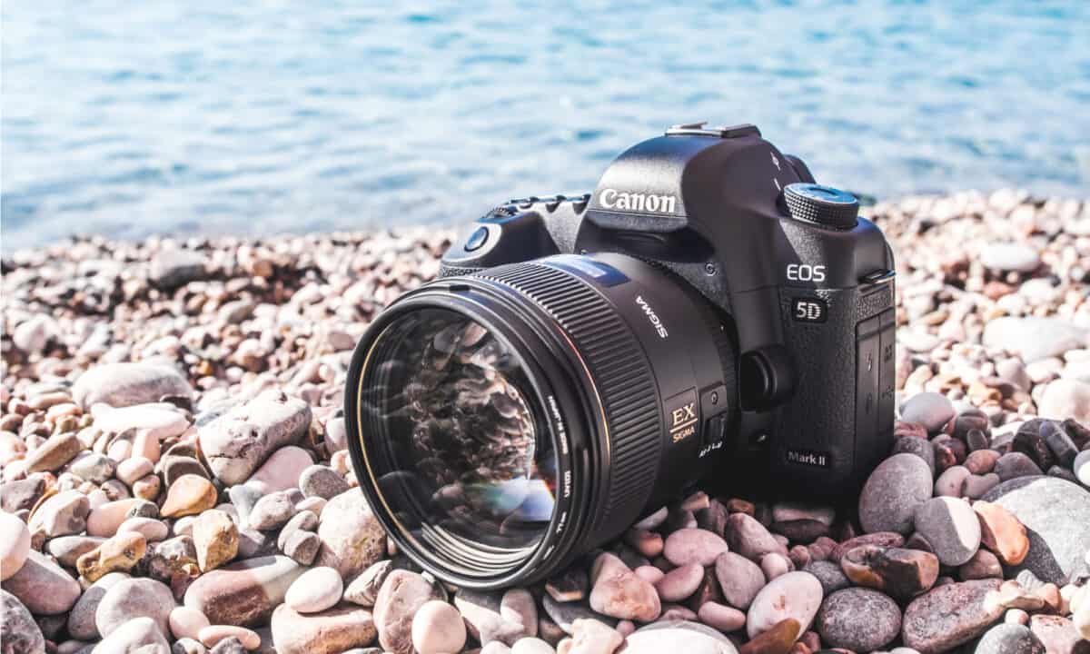 reasons to buy a Canon EOS 2000D