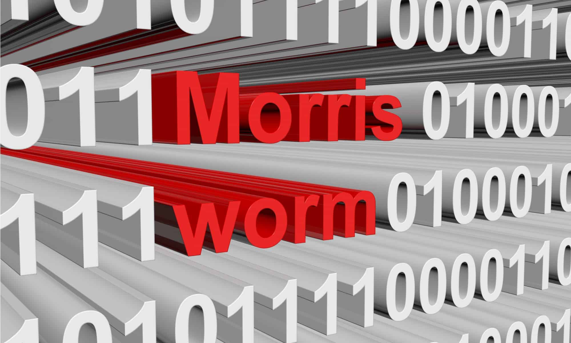 The Morris Worm Virus: How it Works and How to Protect Yourself