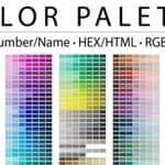 What is Hex Code (HTML Color Codes) and How Do They Work?