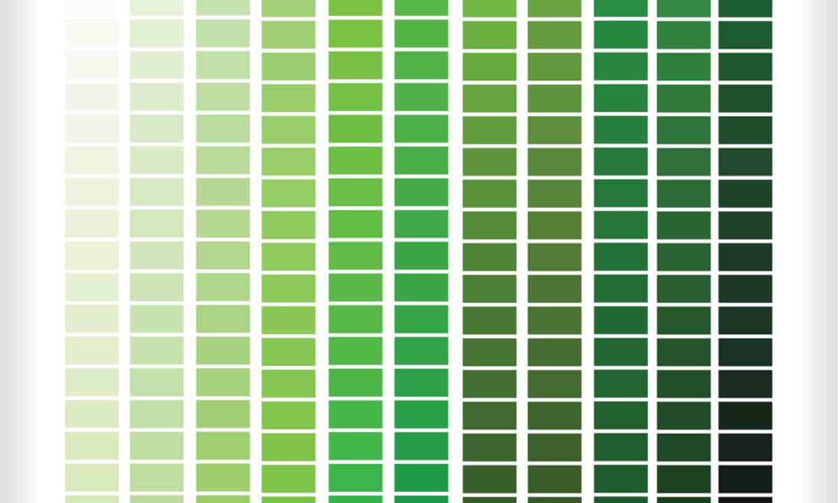 Light Green Color, Codes and Facts – HTML Color Codes