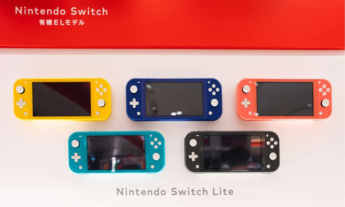 Nintendo Switch vs. Switch Lite: What's the difference? - Polygon