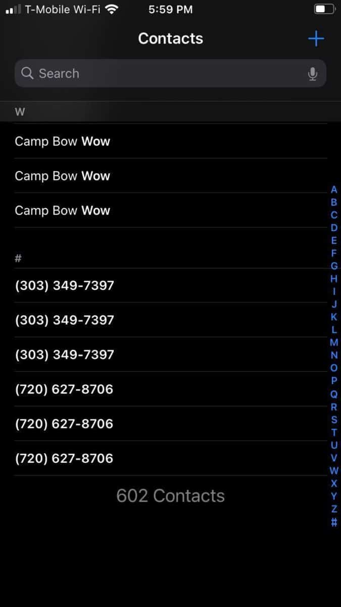 Приложението за контакти със списък на контактите на iPhone