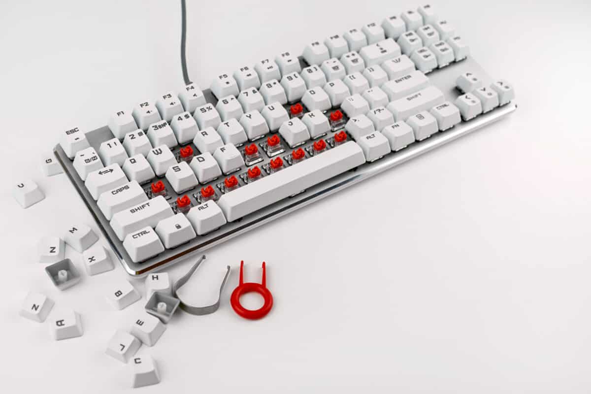 Disassembled keyboard on a white background