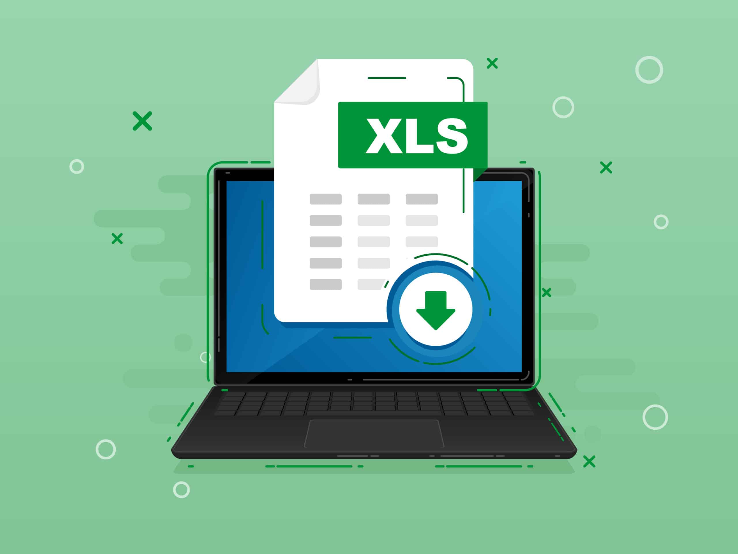 XLS excel file spreadsheet