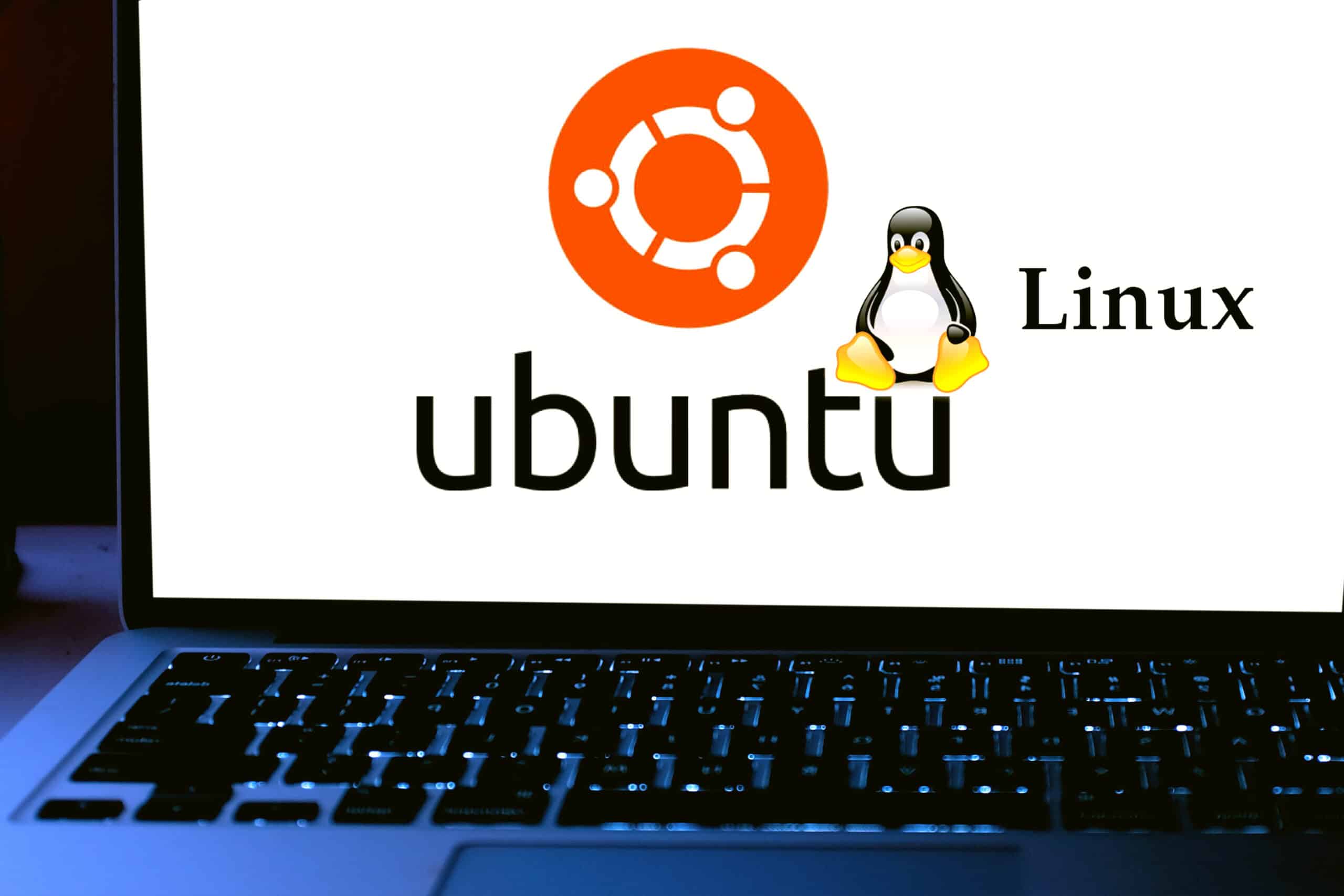 Ubuntu Linux server desktop