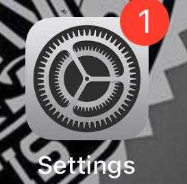The Settings app icon on an iPhone.