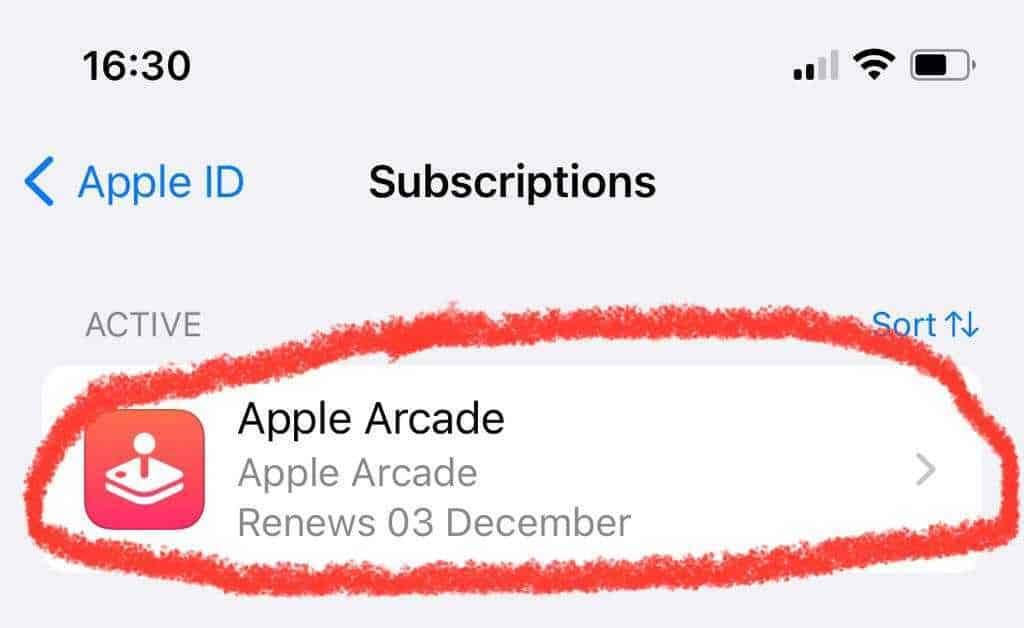 The Subscriptions menu on an iPhone.