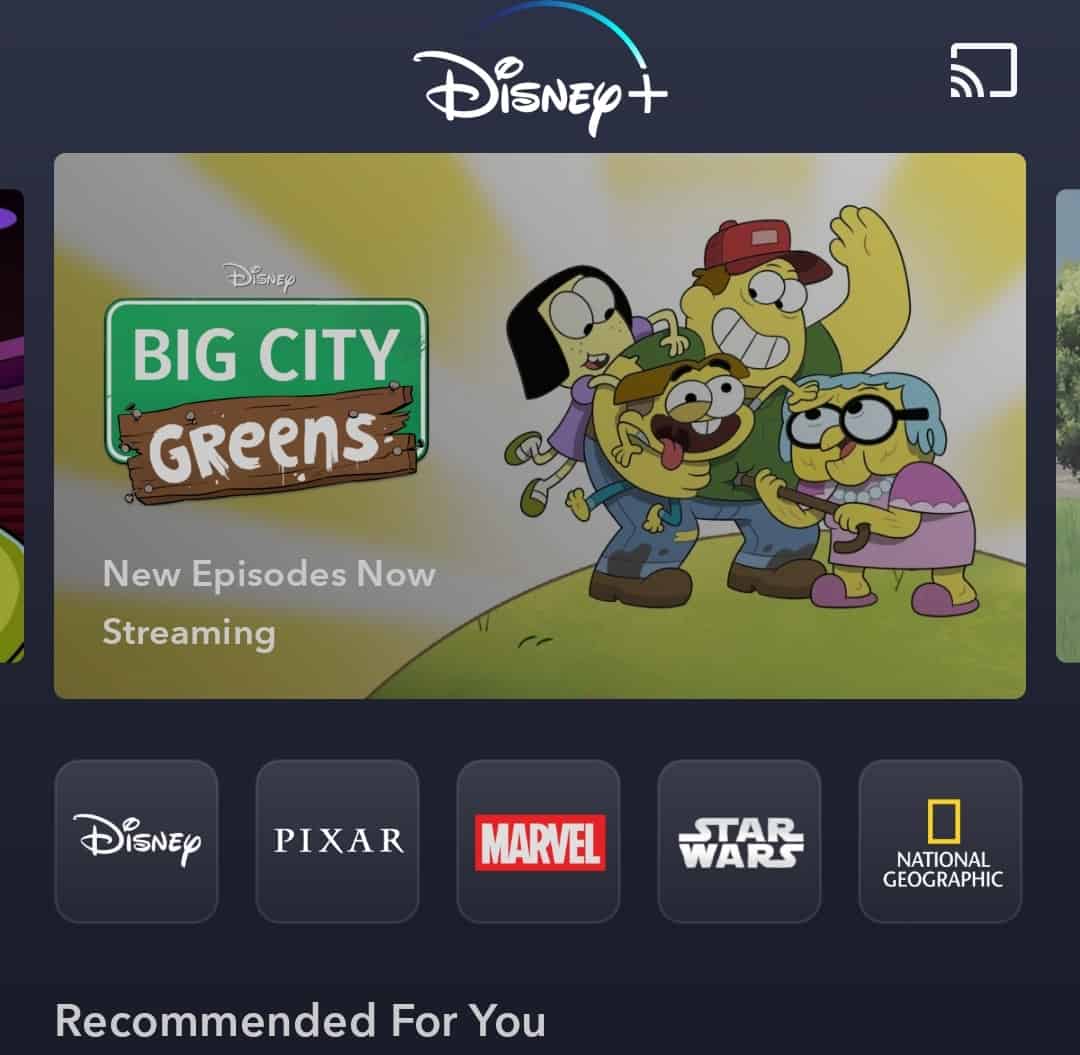 Disney+ mobile app home screen after you sign in.