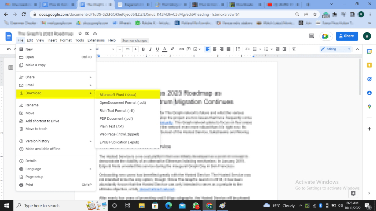 Image of a Google document in Google Docs.