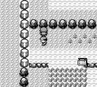 gameplay in pokemon blue/red