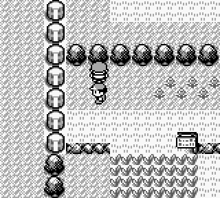 pokemon blue gameplay