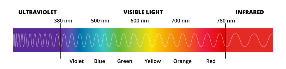Vector diagram with the visible light spectrum