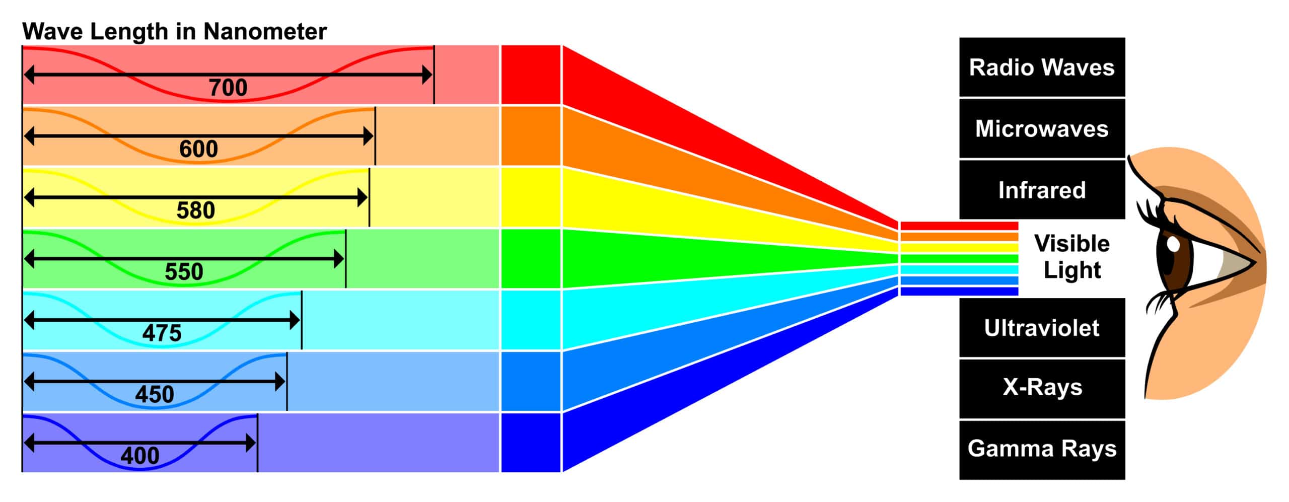 Visible Light vs Infrared: What Is the Difference? - History-Computer