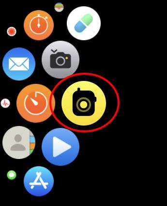 The apps list on an Apple Watch.