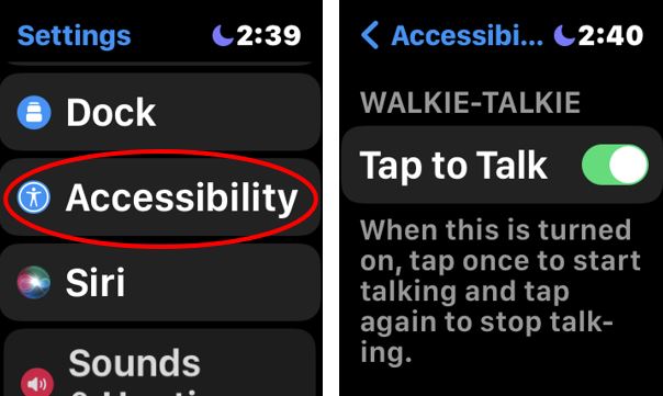 The Accessibility menu on an Apple Watch.