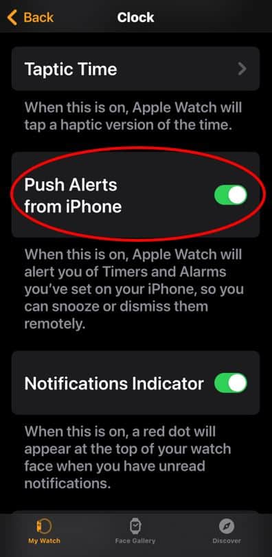 Silent vibrating alarm Apple Watch