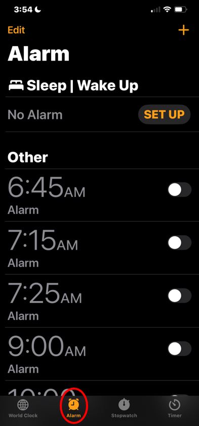 Silent vibrating alarm Apple Watch