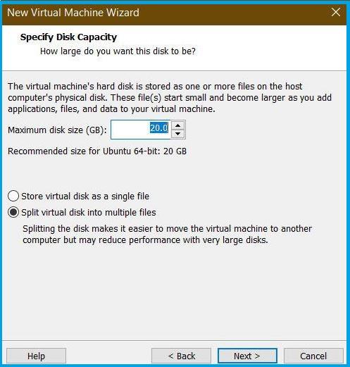 Specify how large you would like the disk capacity of your virtual machine to be. 