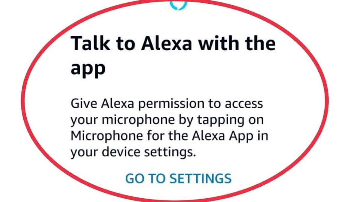 How to connect phone to Alexa image 12