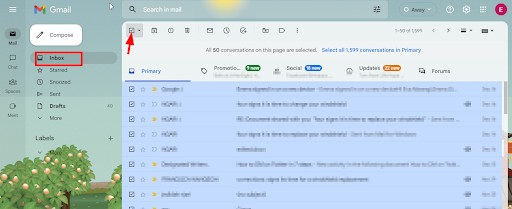 delete mass emails on gmail