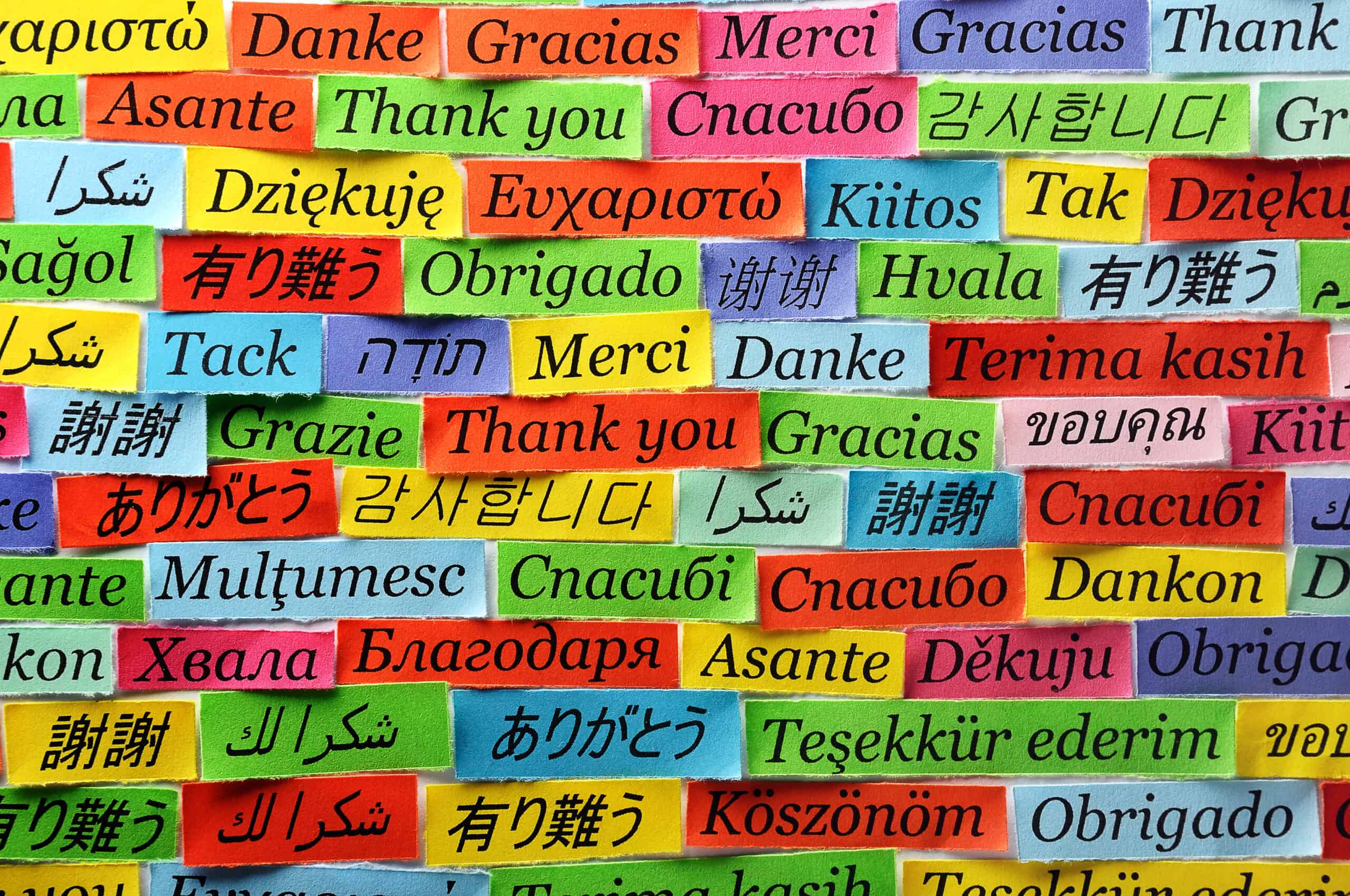 Новая на разных языках. Спасибо на разных языках. Сова на аразных языках. Слово спасибо на разных языках.