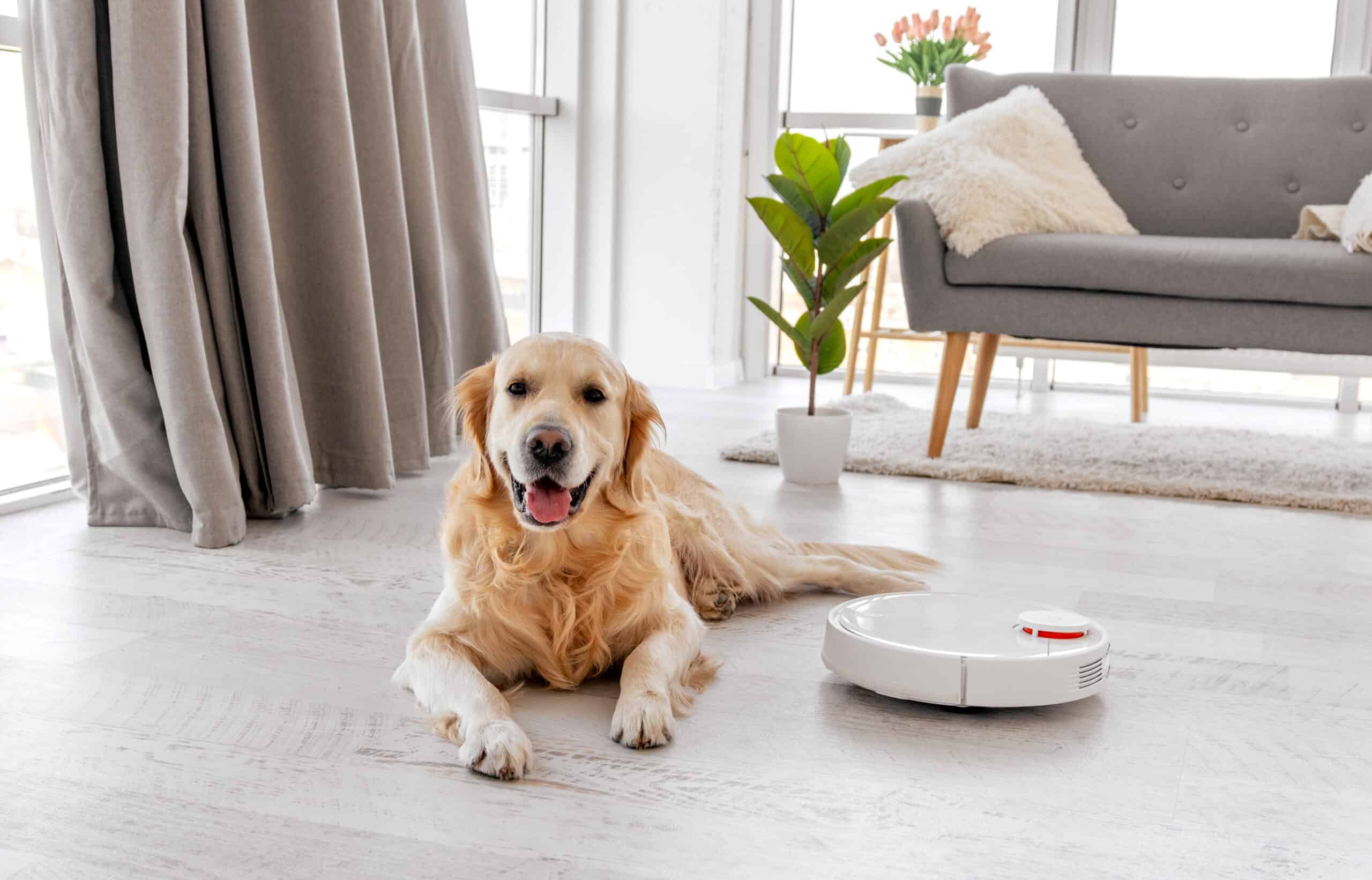 is the roomba good for dog hair