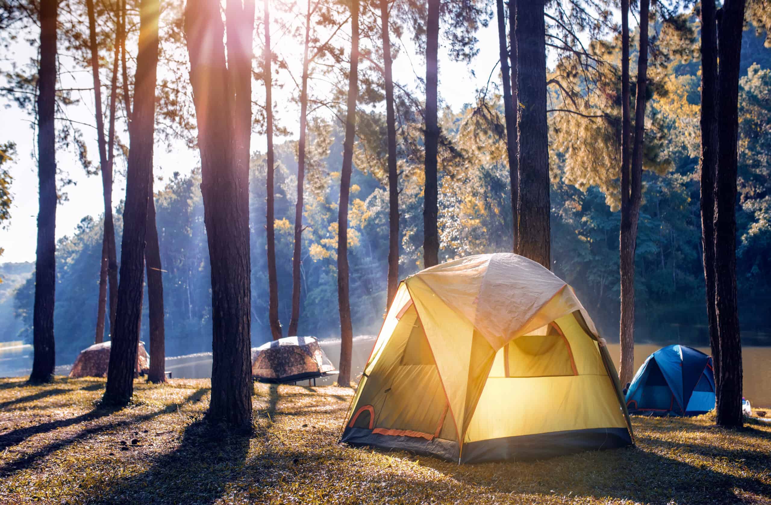 Camping outdoor. Палатка Ronin Camp. Таганай палаточный городок. Таганай кемпинг. Таганай палаточный лагерь.