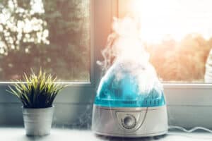 The 5 Best Whole House Humidifiers Today