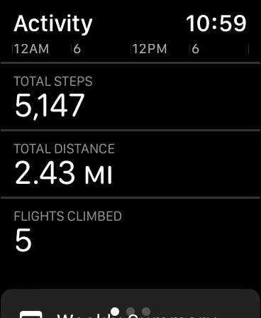 Step 2: Check daily steps, total distance, and the flights you climbed