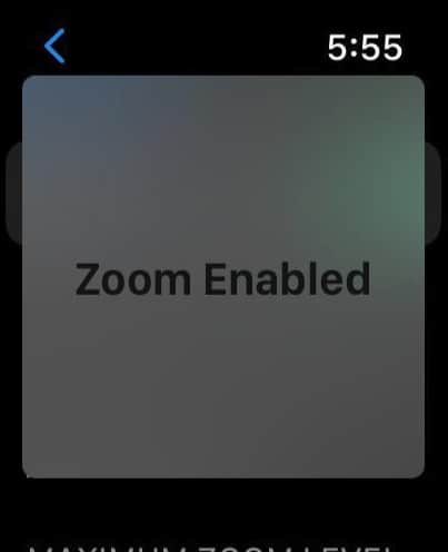 How to zoom out on Apple Watch