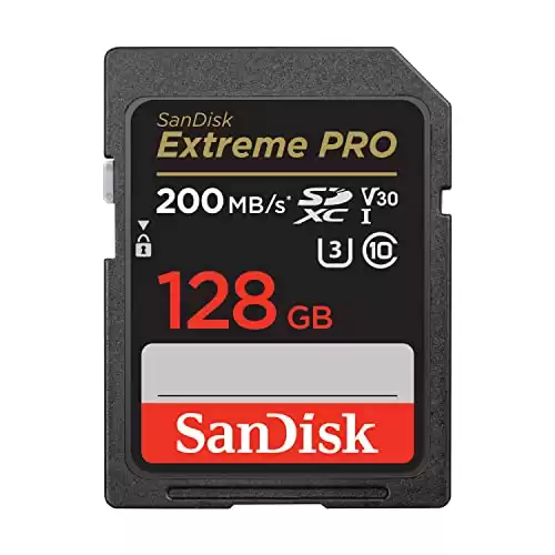 SanDisk 128 GB SD Card