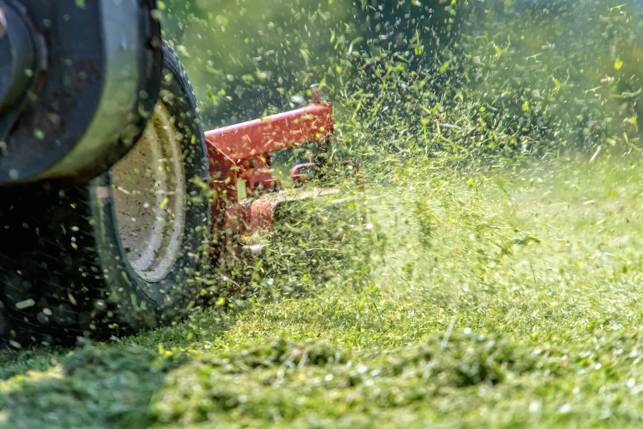 Kobalt 40V Mower vs. Ryobi 40V Mower Which One Wins History