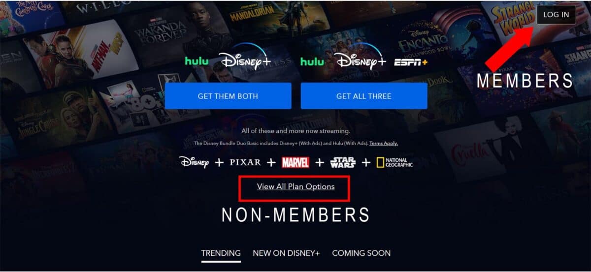 Disney Plus on a Samsung, Home screen