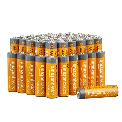Amazon Basics 48 Pack AA Alkaline Batteries