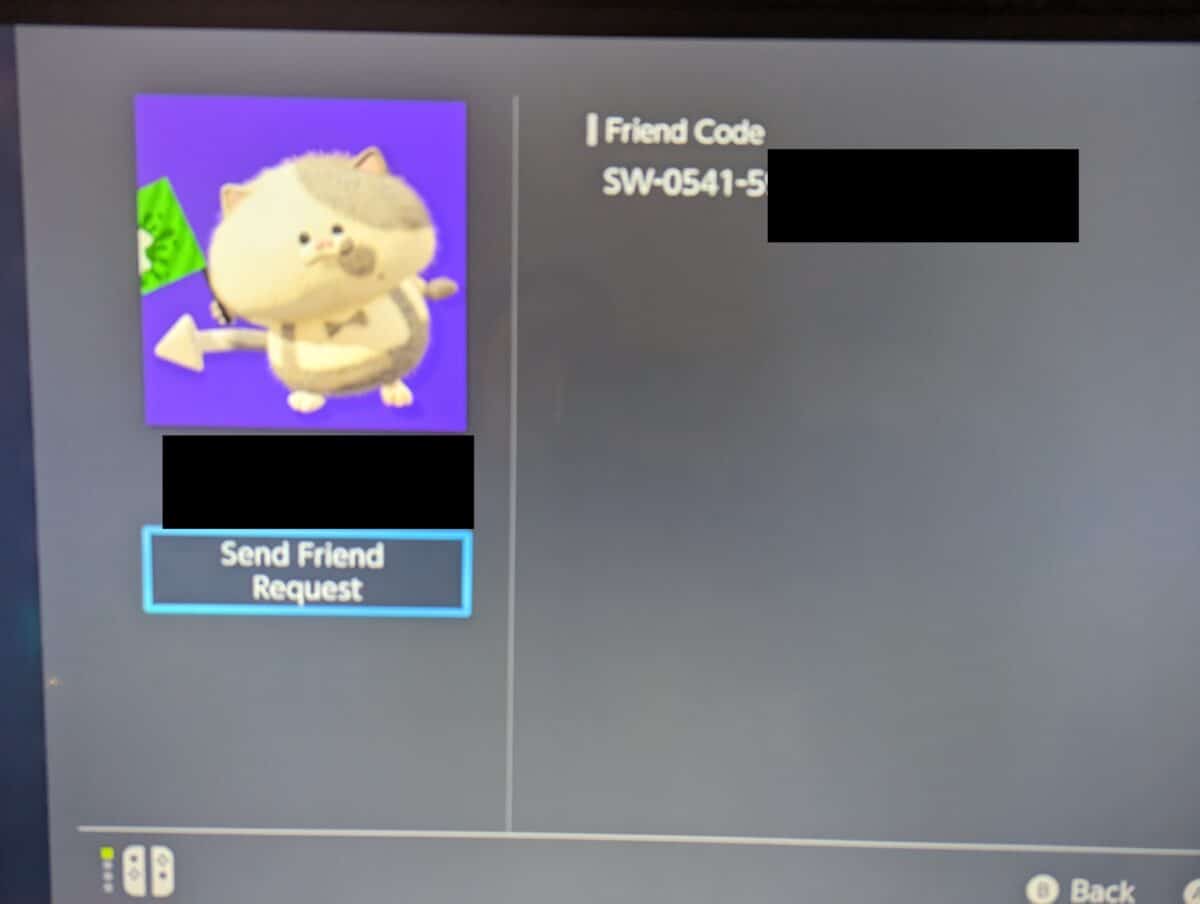 Nintendo SWITCH Friend Codes and Online Fun