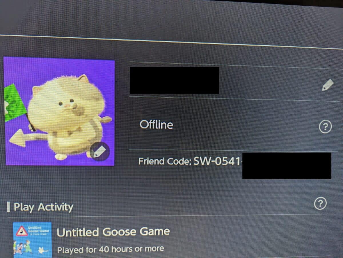 Nintendo SWITCH Friend Codes and Online Fun