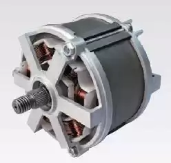 Switched reluctance BLDC motor