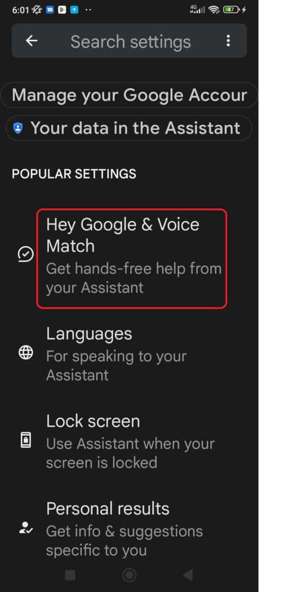 Under popular settings, tap Google Voice & Match.