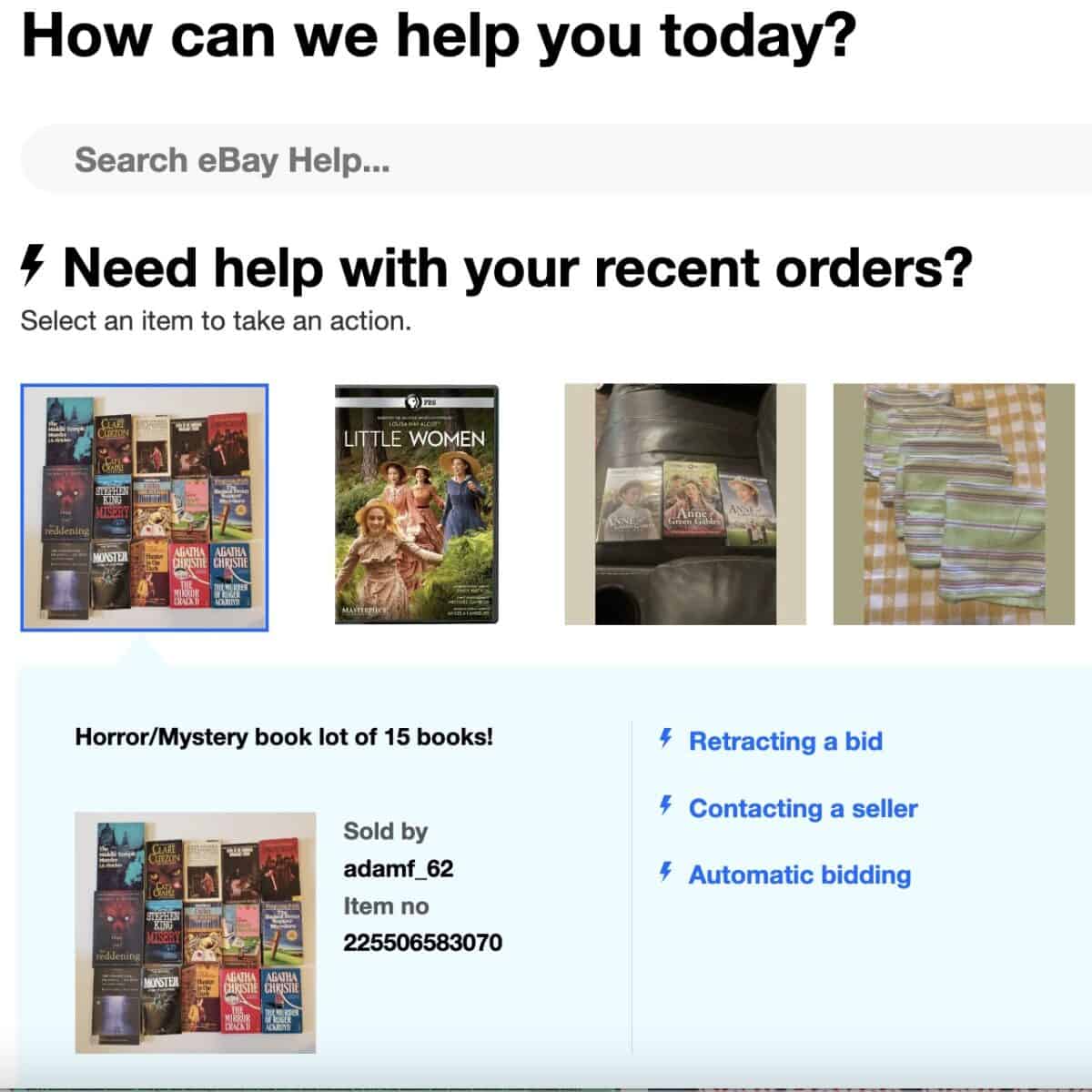 Image showing eBay help screen for items you are bidding on,