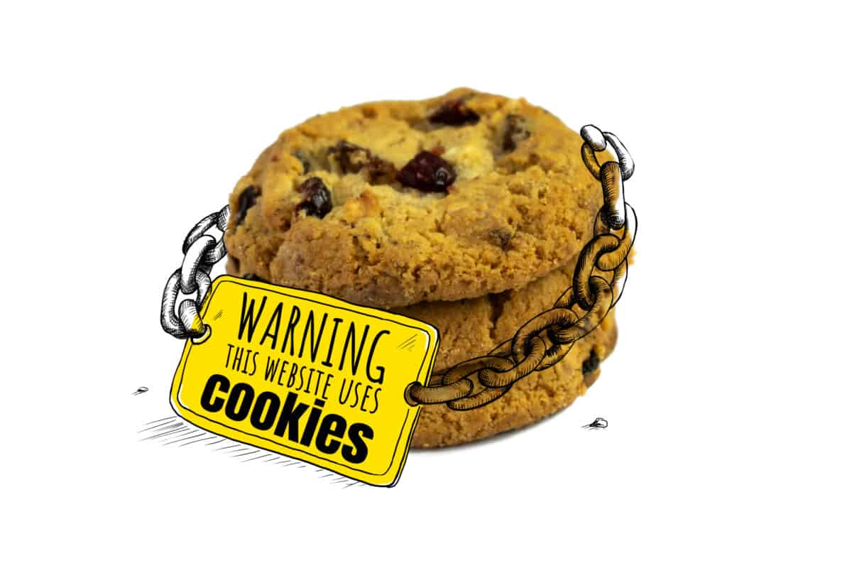 internet cookies warning this website uses cookies