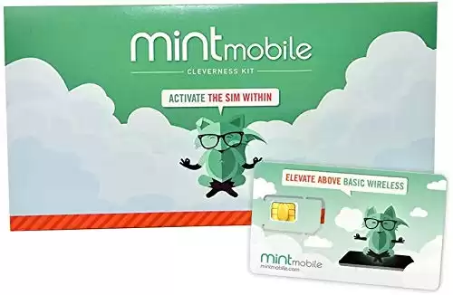 Mint Mobile SIM Card