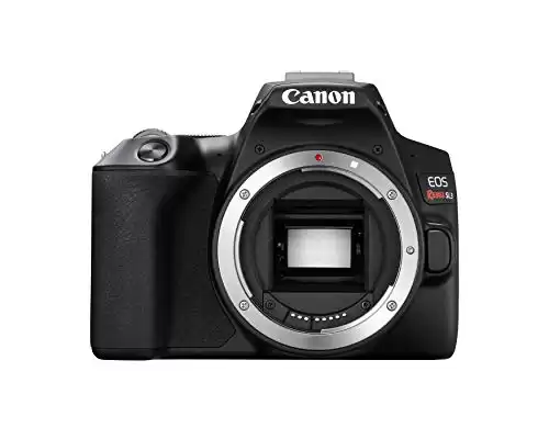 CANON EOS Rebel SL3 DSLR Camera (Black)