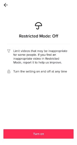 restricted mode tiktok