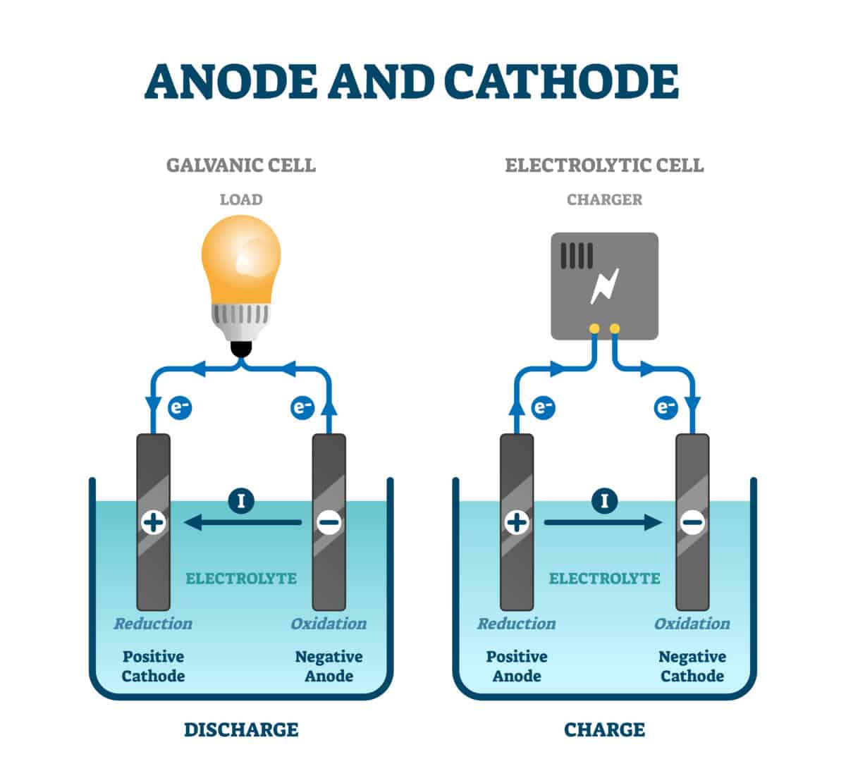 anode vs. cathode