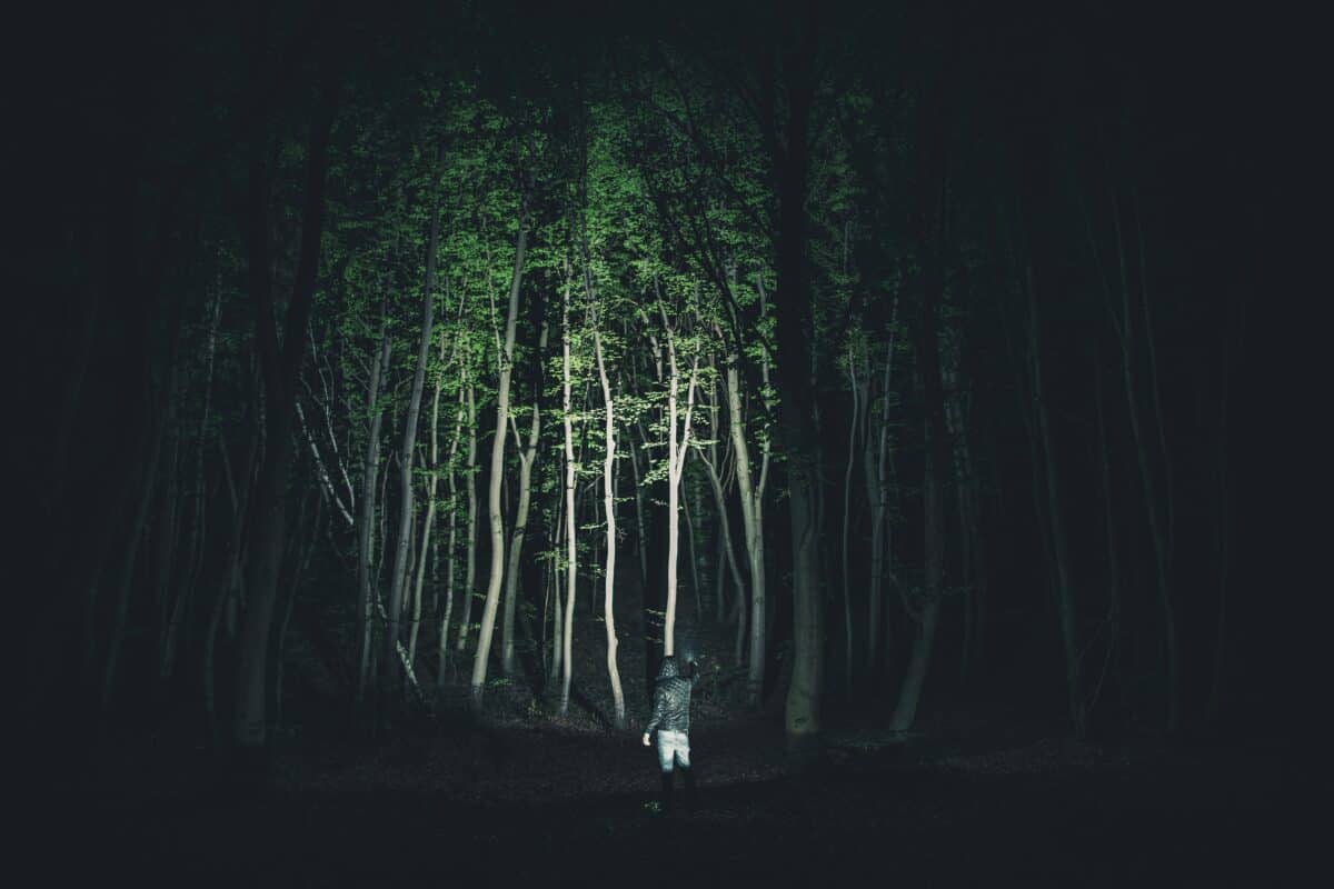 LED flashlight in dark woods