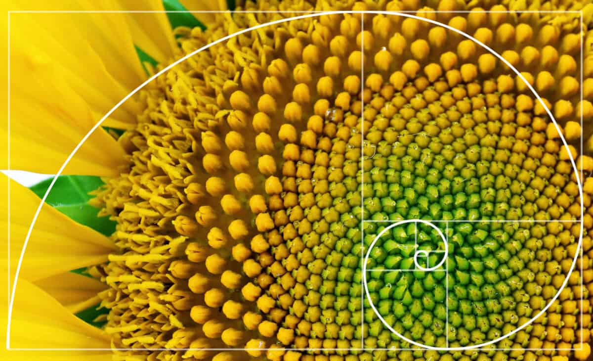 Understanding Fibonacci series Python